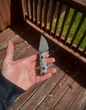 THE LITTLE BUDDY